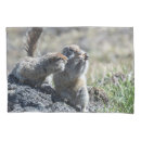 Search for squirrel pillowcases Animal