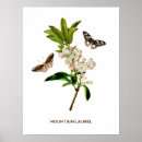 Search for laurel posters Trendy