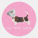 Search for dog in cone stickers Funny