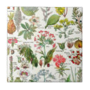 Search for illustrated tiles Plant