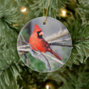Search for red premium christmas tree decorations Nature