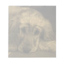 Search for golden retriever notepads Dog
