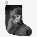 Search for monkey christmas stockings Black
