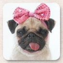 Search for pug coasters Cute