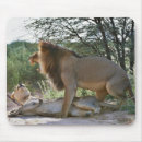 Search for panthera electronics Outdoors
