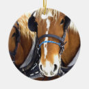 Search for clydesdale horse christmas tree decorations Equine