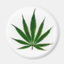Search for potted magnets Leaf