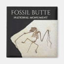 Search for fossilized magnets Souvenir