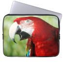 Search for macaw laptop cases Wildlife
