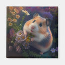 Search for explore magnets Nature