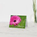 Search for pink gerbera thank you cards Pretty