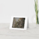Search for gorge cards Photography
