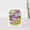 Search for dendrobium postcards Garden