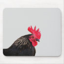 Search for chicken mousepads Wildlife