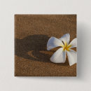 Search for plumeria badges Nature