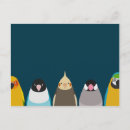Search for lovebirds postcards Conure