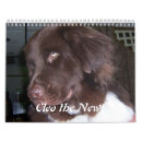 Search for newfoundland dog calendars Newfie