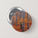 Search for fall leaves badges Outdoors