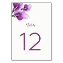 Search for lily table cards Purple