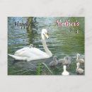 Search for inspired photography Colourful nature inspired design