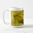 Search for burmese mugs Snake