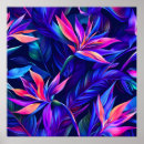 Search for rainforest posters Summer