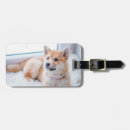 Search for double sided luggage tags Stylish