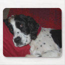 Search for spaniels mousepads English springer spaniel