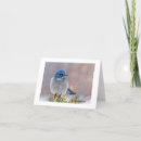 Search for bird sympathy cards Wildlife