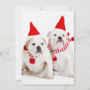Search for togetherness seasonal cards Photography