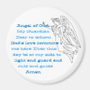 Search for guardian magnets Angel