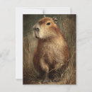 Search for capybara postcards Illustration