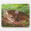 Search for cute infant electronics Animal