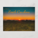 Search for myrtle beach postcards Usa
