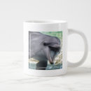 Search for beautiful dolphin mugs Animals