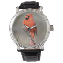 Search for backyard watches Cardinal