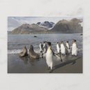 Search for south island postcards Nature