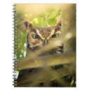 Search for owl notebooks Raptor