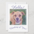 Search for for neighbours cards Thinking of you