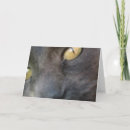 Search for mouse birthday cards Whimsical