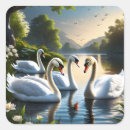 Search for swan lake stickers Animal