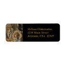 Search for mask return address labels Mardi gras