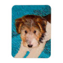 Search for wire magnets Terrier