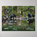 Search for alaska eagle art Birds