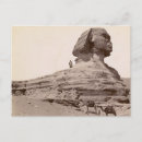 Search for egypt postcards Sphinx
