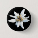 Search for alpine badges Flower