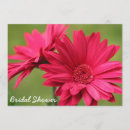 Search for pink gerbera invitations Bridal
