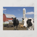 Search for silos postcards Farming