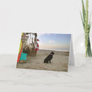 Search for chocolate lab cards Santa