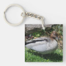 Search for australian key rings Wildlife